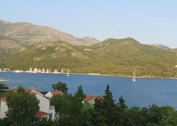 Slano Bay Apartments